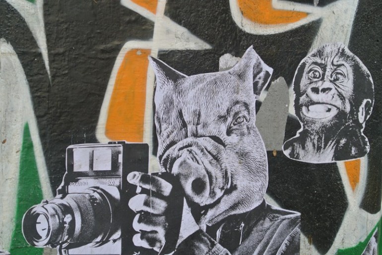 Pig with Camera by David J Thompson